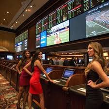 dg casino