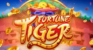 dg casino